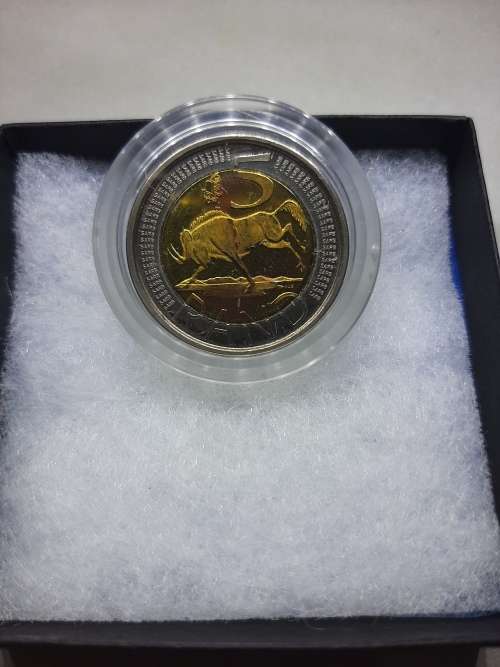 2004 Oom Paul mintmark R5 coin