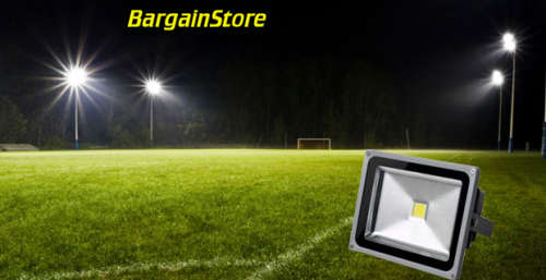 '5 on auction' 10W white LED Flood Light 220V <Local Stock>