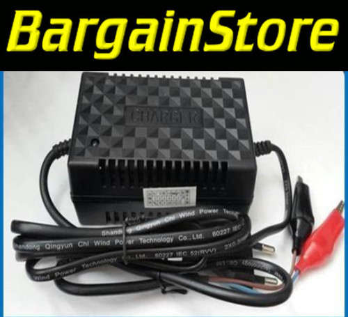12V2A Intelligent Pulse charger, Battery Charger