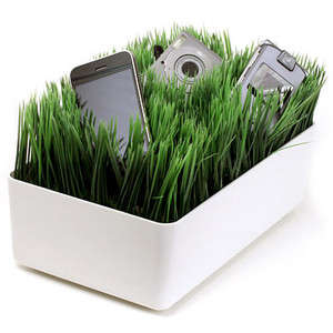 Grassy Lawn Charging Station