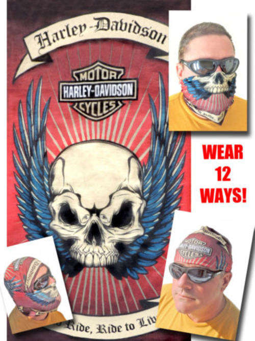 HARLEY DAVIDSON FACE MASK Skull  Tubular Motorcycle Buff Type Scarf