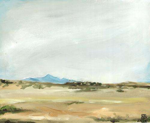 Karoo Landscape