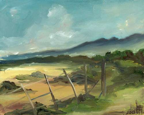 Old fence in the veld