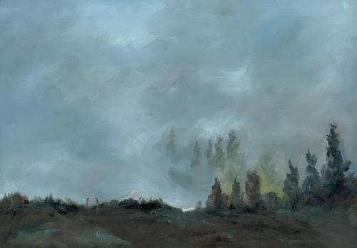 Pines in the mist