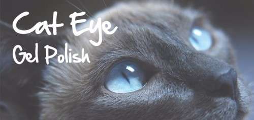 The Nail Art - CAT EYE UV TOPCOAT 15ML