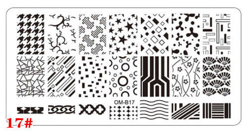 The Nail Art - OM-B17 Nail Stamping Plate