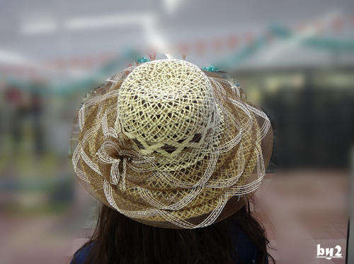 Summer Hat HT11 wholesale
