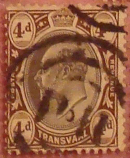 Transvaal 4 Penny Dark Brown 2