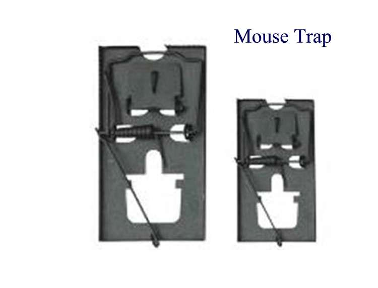 Rat traps  -Outdoors