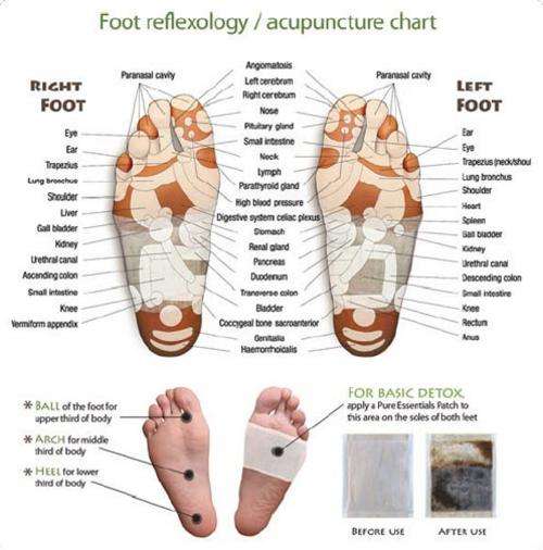 DETOX FOOT PADS
