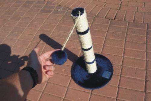 @@R1@@ Spoil your Kitty Cat scratching post with swaying ball...!!!!!!!!