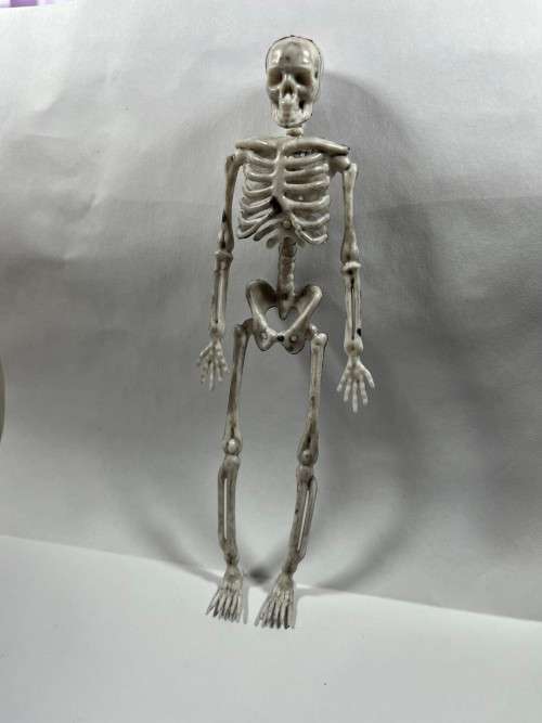 Skeleton - 170mm Halloween Decor
