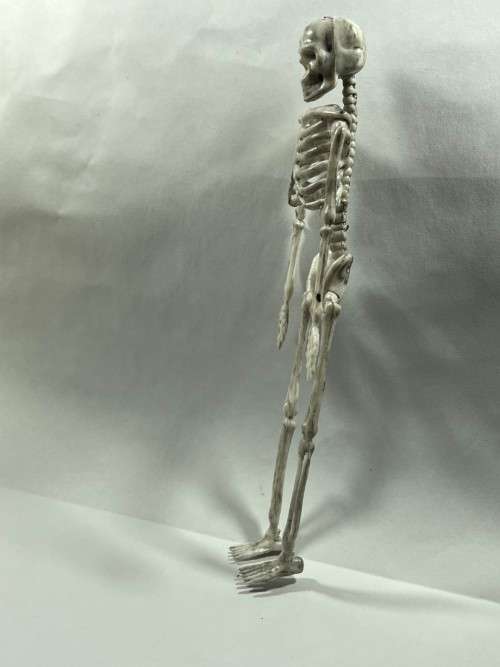 Skeleton - 170mm Halloween Decor
