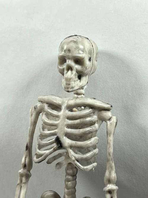 Skeleton - 170mm Halloween Decor