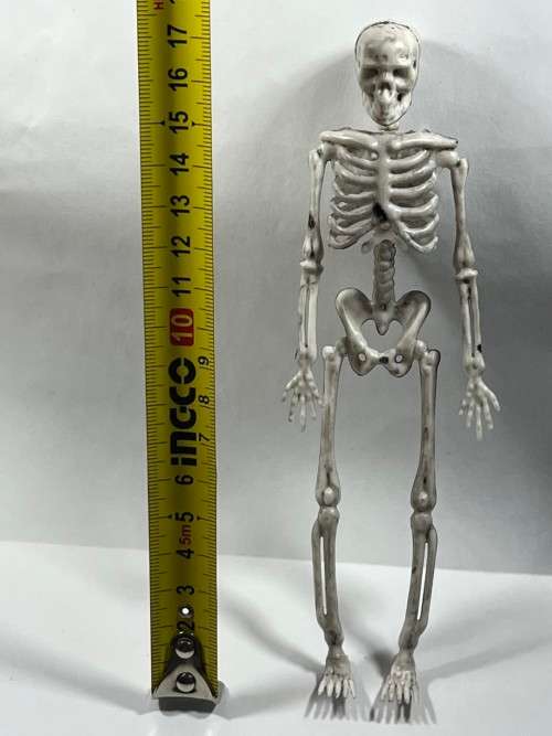Skeleton - 170mm Halloween Decor