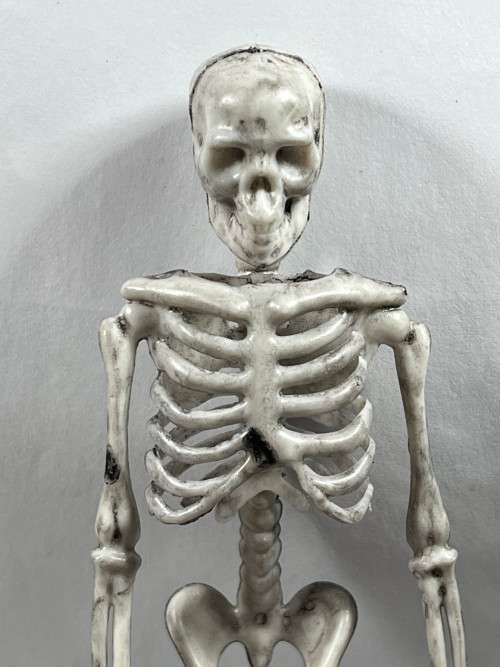 Skeleton - 170mm Halloween Decor