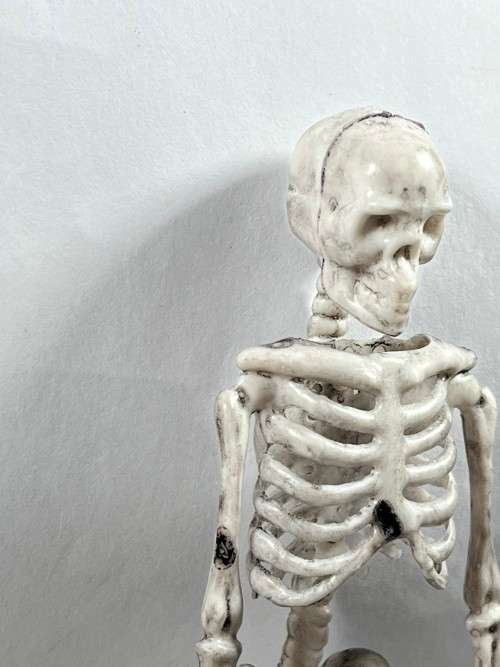 Skeleton - 170mm Halloween Decor