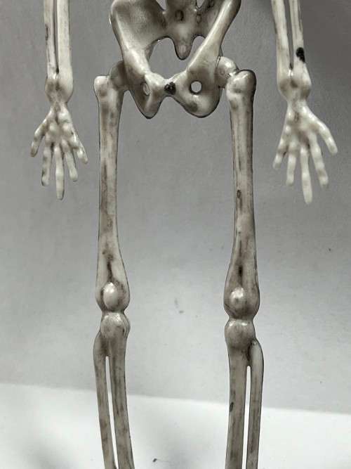 Skeleton - 170mm Halloween Decor