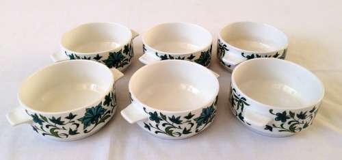 Midwinter Soup Cup/bowl in Spanish Garden Pattern