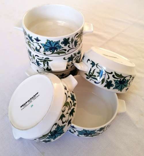 Midwinter Soup Cup/bowl in Spanish Garden Pattern