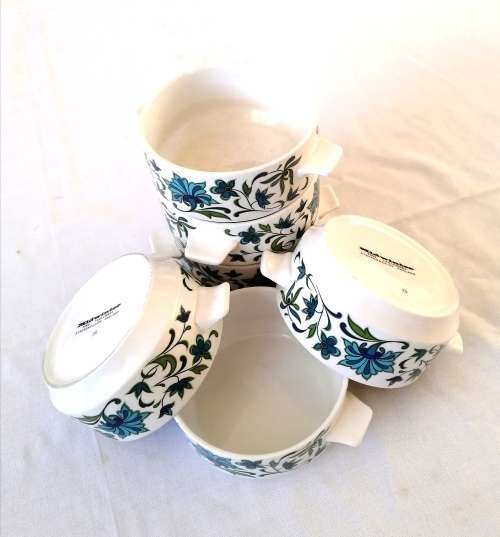 Midwinter Soup Cup/bowl in Spanish Garden Pattern