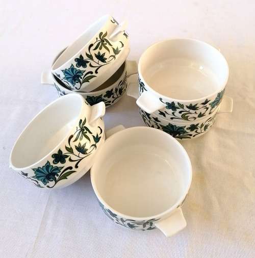 Midwinter Soup Cup/bowl in Spanish Garden Pattern