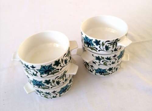 Midwinter Soup Cup/bowl in Spanish Garden Pattern