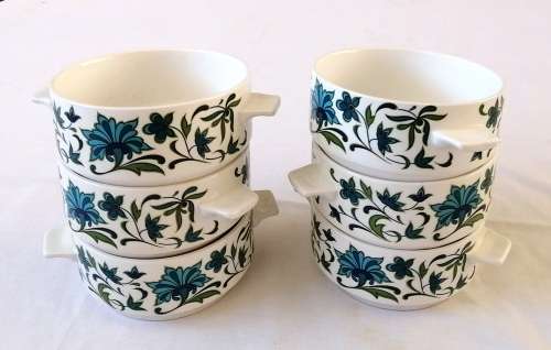 Midwinter Soup Cup/bowl in Spanish Garden Pattern