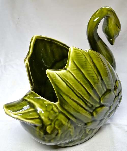 Lucia Ware Swan