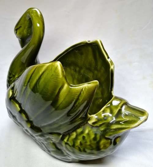 Lucia Ware Swan