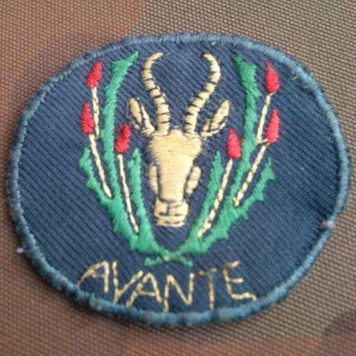 RARE 5 SAI Bn cloth beret badge - Avante!