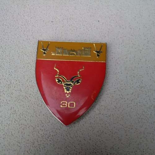 SADF/ SWATF Sector 30 HQ step-out arm flash - SWA/ Angola bushwar era (3 pins intact)