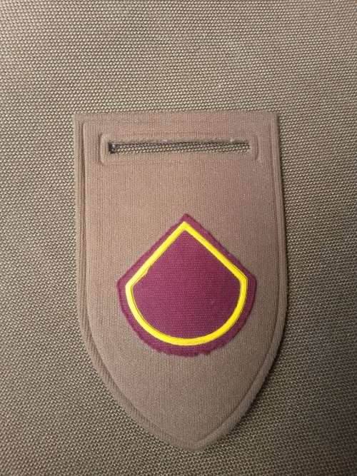 very scarce SADF era named SAMS D-Sqn/ Company sub-unit tupper flash- pin intact