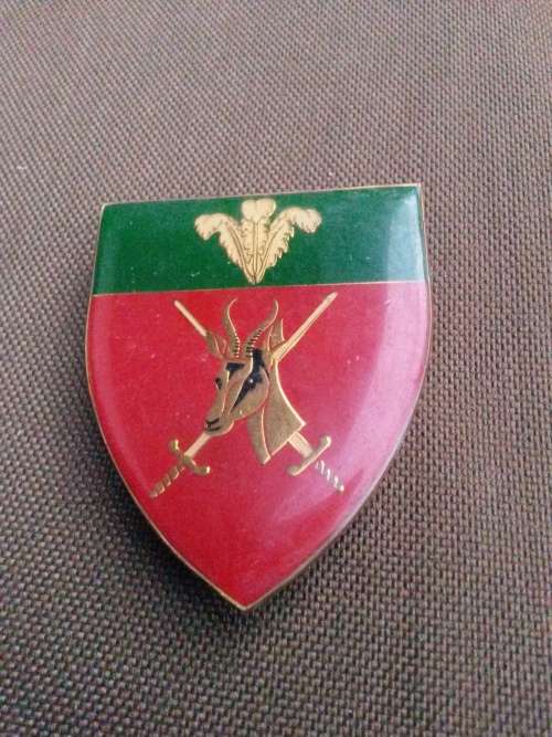 SADF era Southern Cape Command HQ left facing unit tunic flash - 3 pins