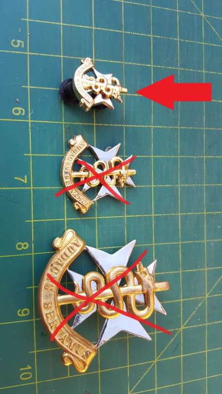 scarce facing pair SAMS mini mess dress collar badges - SADF era - all pins intact