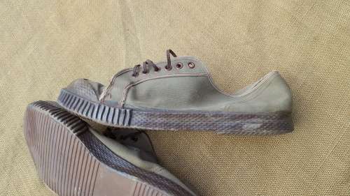 SADF era issue PT "tekkies" nutria runnng shoes aka "PF Flyers" size 10 UK & in good used condition