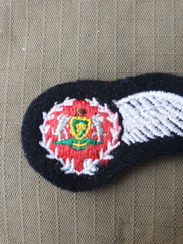 original ex homelands pre-1994 era bantustan TBVC Venda Air Wing half-wing cloth wing brevet badge
