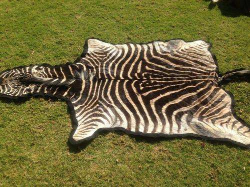 Zebra Skin - C Grade