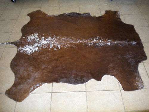 Tri-Colour Nguni Hide (244)