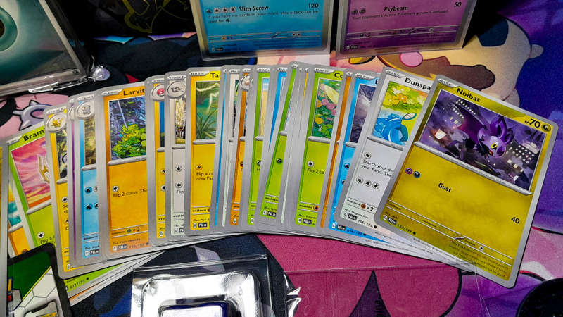 Pokemon TCG box Bundle