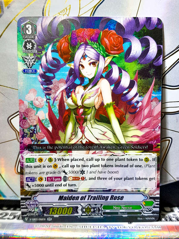 Cardfight Vanguard - Maiden of Trainling Rose - RR