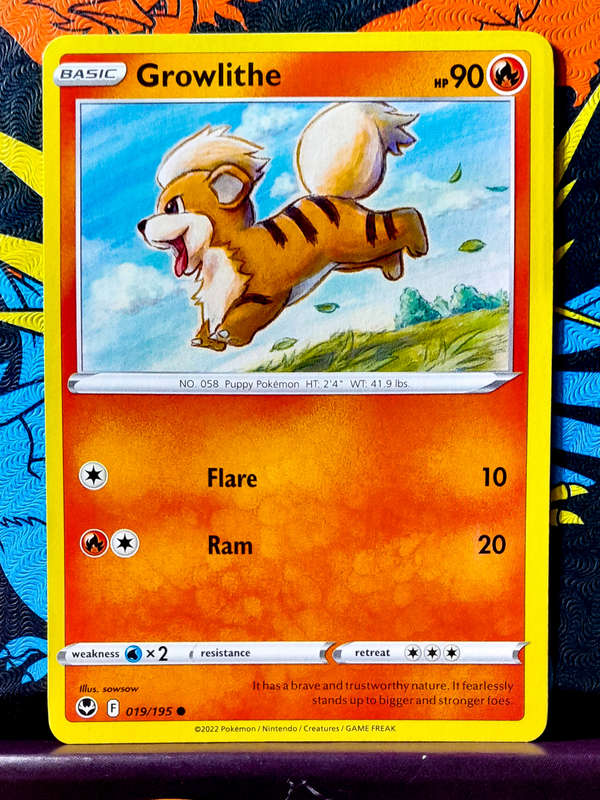 Pokemon Card - Growlithe 019/195 - Silver Tempest