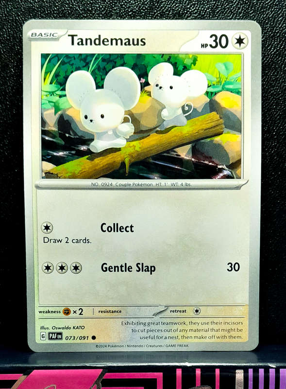 Pokemon Card -Tandemaus 073/193 - Paldean Fates