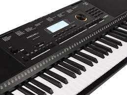 **SPRING SPECIAL***BRAND NEW MEDELI M331 61KEY POWERFULL LARGE KEYBOARD IN BOX**OVER R3000 RETAIL**