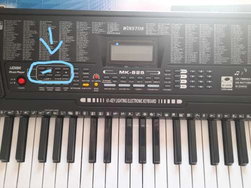 *SNAP FRI DEAL*Brand New Winston 61 Key Lighting Electronic Music Keyboard**FREE STAND** R2300***