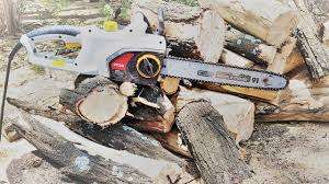 **MONTH END DEAL**BRAND NEW RYOBI 200W ELECTRIC CHAINSAW IN BOX*R2800 IN STORE**