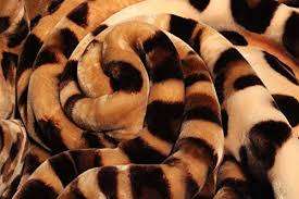 *ABSOLUTLY LIMITED STOCK*5 AVALIABLE**BRAND NEW ROLENE MINK 3PLY 4KG QUEEN BLANKET*R1200 RETAIL