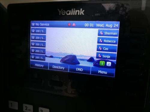 *COMPANY LIQUIDATION*SET OF YEALINK IP CORDLESS PHONES+YEALINK CONFERENCE PHONE*OVER R7000 VALUE**