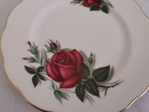 ROYAL ALBERT TRIOs