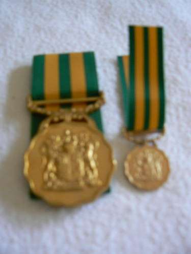 Good service medal gold plus miniature